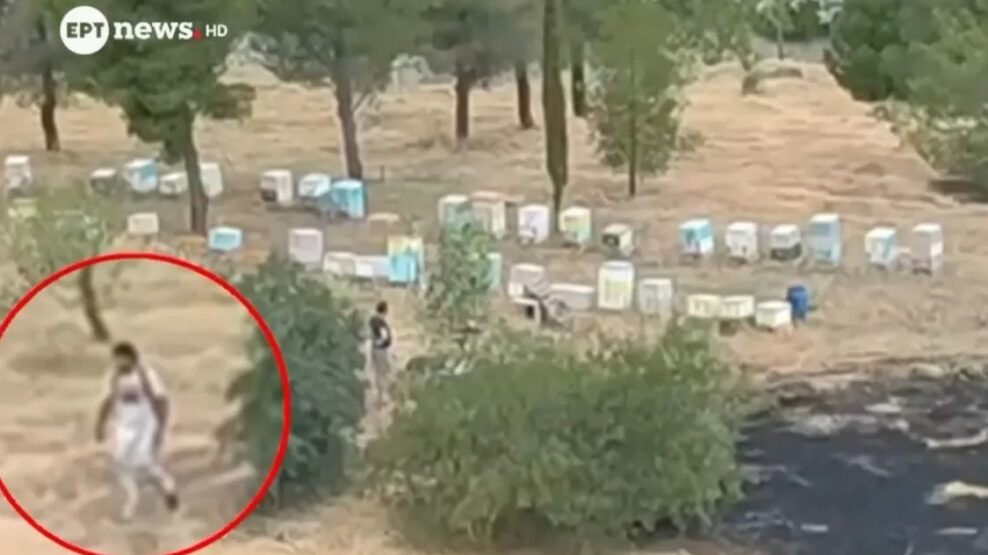 Άλσος Βεΐκου φωτιά