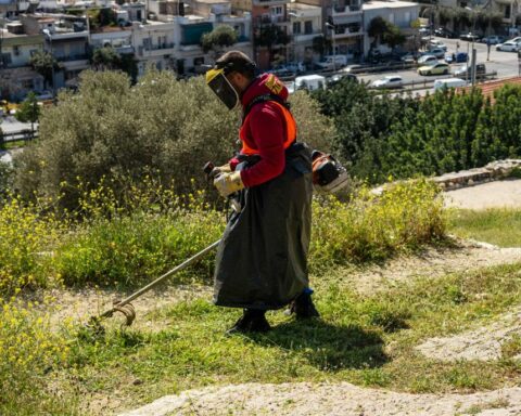 Ακαθάριστα οικόπεδα: