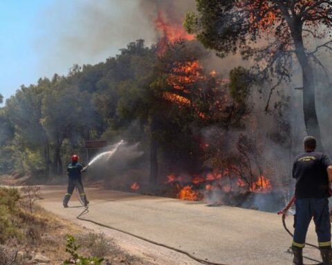 Κερατέα: Συνελήφθη 43χρονη για εμπρησμό