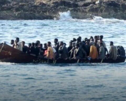 Πλεύρης: