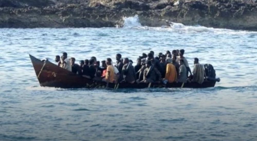 Πλεύρης: