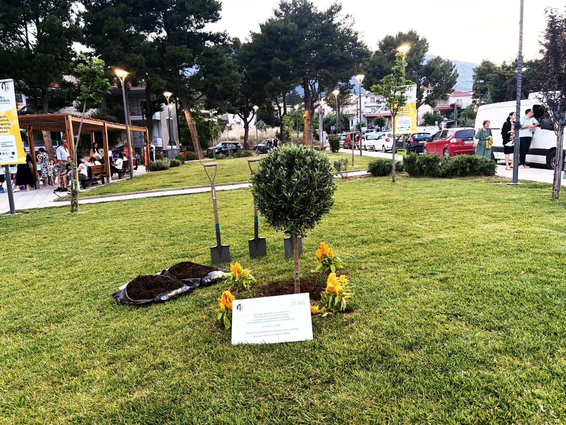 Η συμβολική δεντροφύτευση