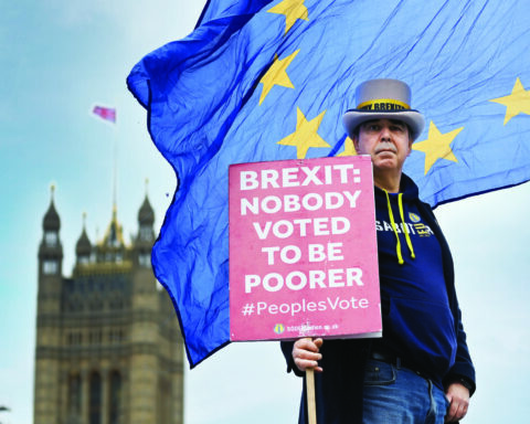 Διαδηλωτής κατά του Brexit