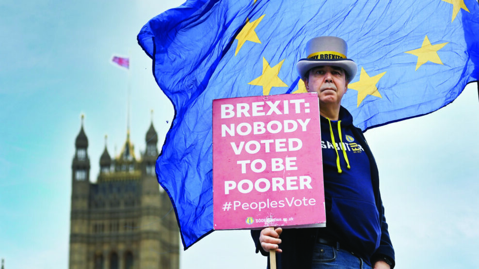 Διαδηλωτής κατά του Brexit