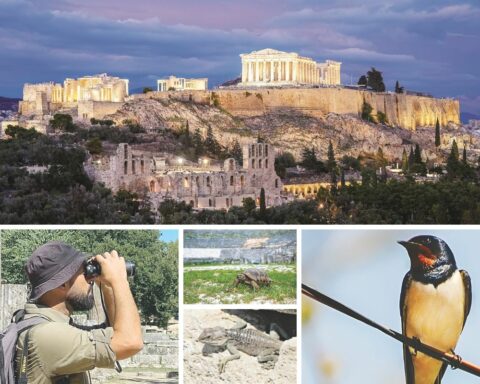Αρχαιολογικοί χώροι Βιοποικιλότητα