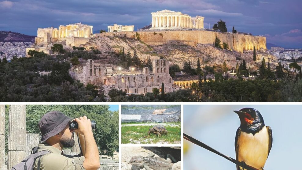 Αρχαιολογικοί χώροι Βιοποικιλότητα