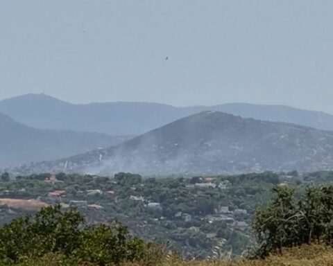 Αρτέμιδα: