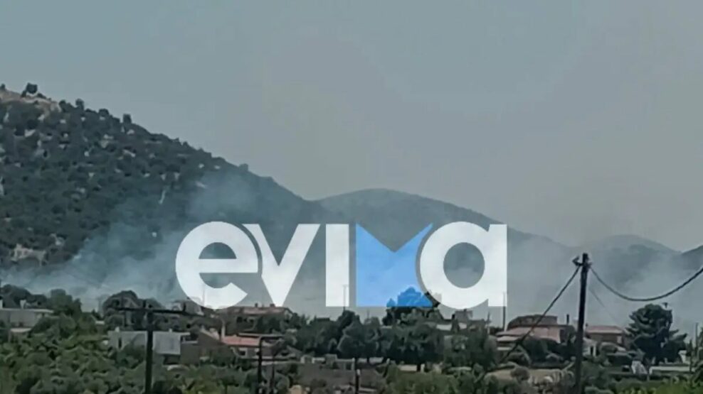 Φωτιά στο Μηλάκι Ευβοίας