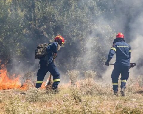 Φωτιά Θέρμη Θεσσαλονίκης