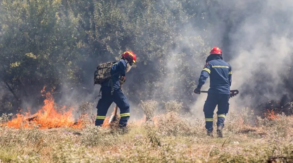Φωτιά Θέρμη Θεσσαλονίκης