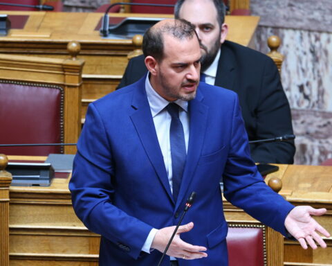 Κώτσηρας πατίνια
