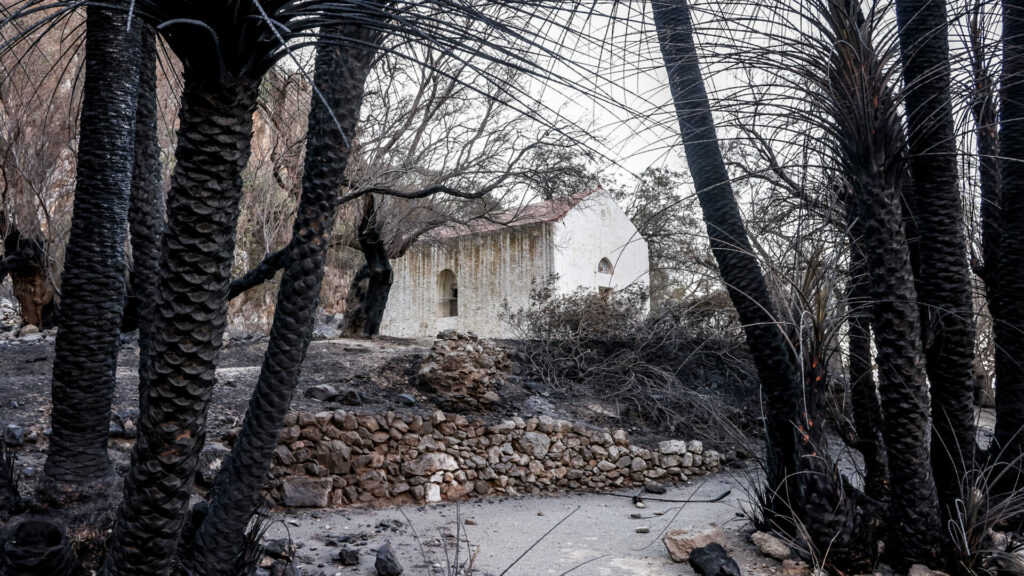 φωτιά στην Πρέβελη, πρεβελη φωτιά, δάσοσ πρεβελησ,