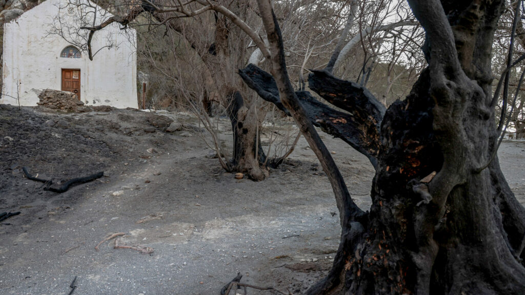 φωτιά στην Πρέβελη, πρεβελη φωτιά, δάσοσ πρεβελησ,