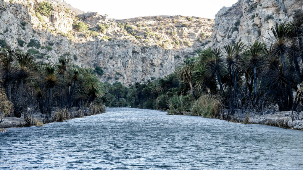 φωτιά στην Πρέβελη, πρεβελη φωτιά, δάσοσ πρεβελησ,