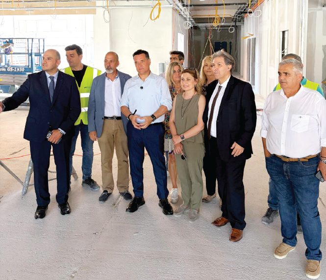 Όμιλος ΒΙΑΝΕΞ