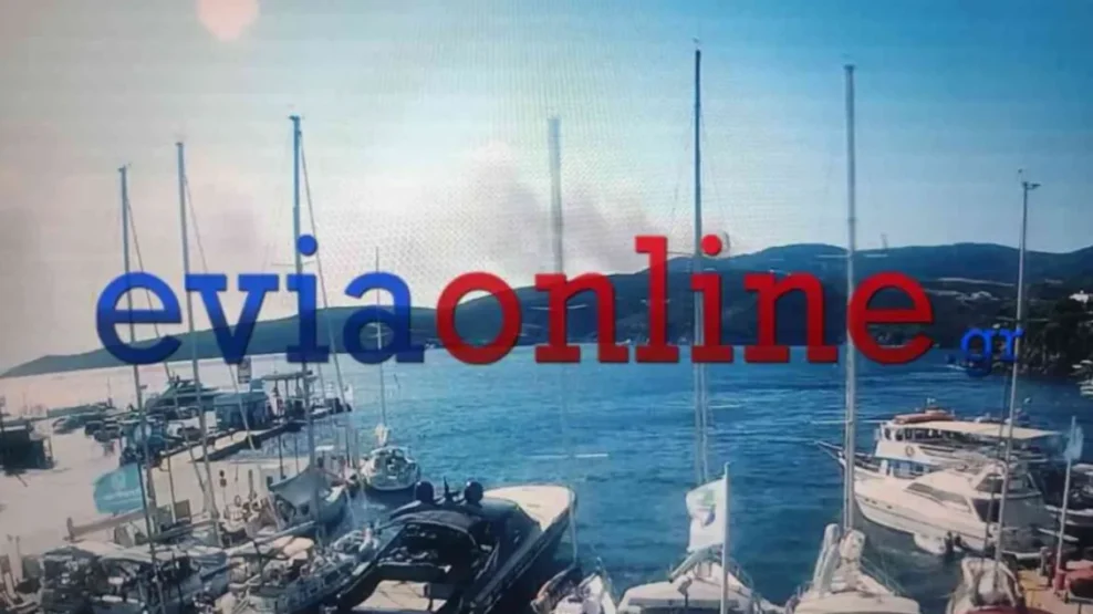 Φωτιά στη Σκύρο: