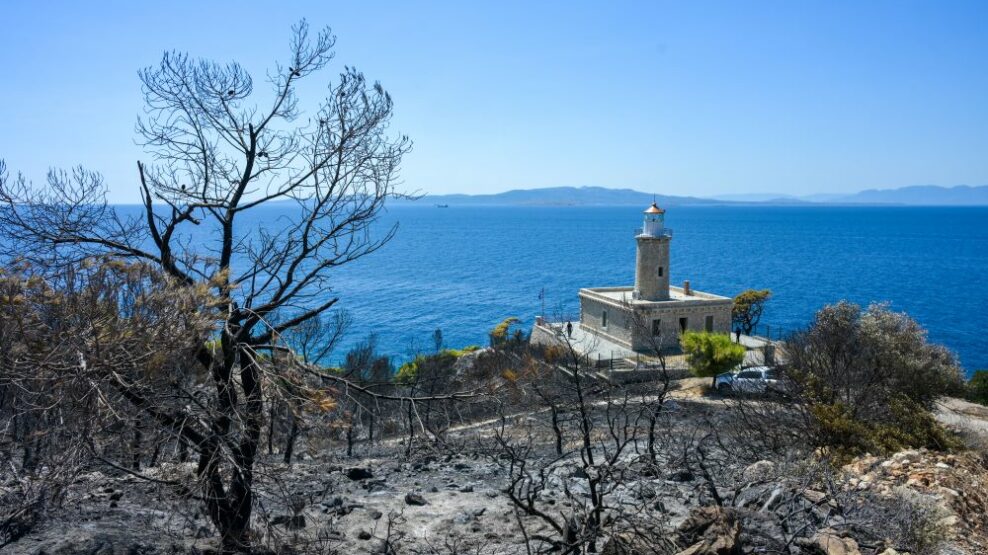 Κατσαφάδος