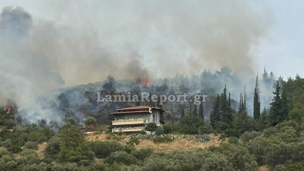 Πελασγία Φθιώτιδας φωτιά