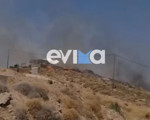 Φωτιά στην Κάρυστο: