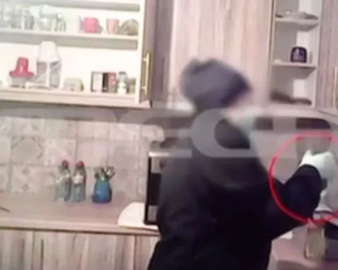 Περιστέρι: