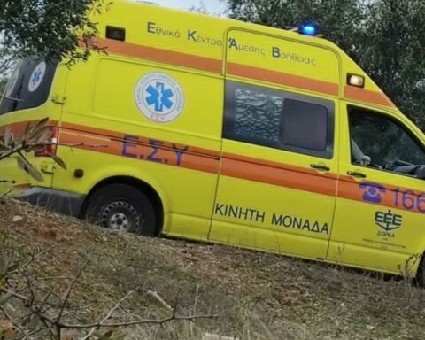 Χαλκιδική δέντρο