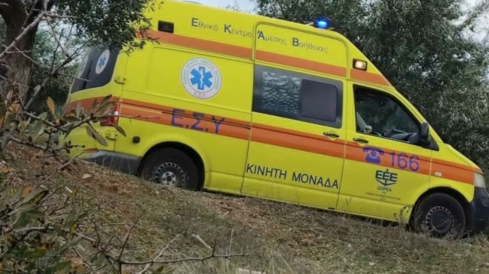 Χαλκιδική δέντρο
